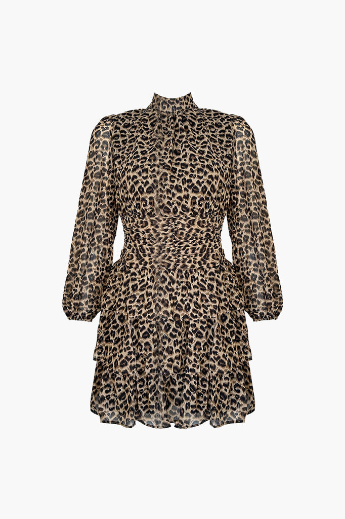 leopard dress-panter print